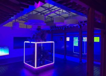 3Space Art Kicks Off “Enter the Void,” the First NFT Art Exhibition Held Simultaneously in a Physical Gallery and the Metaverse