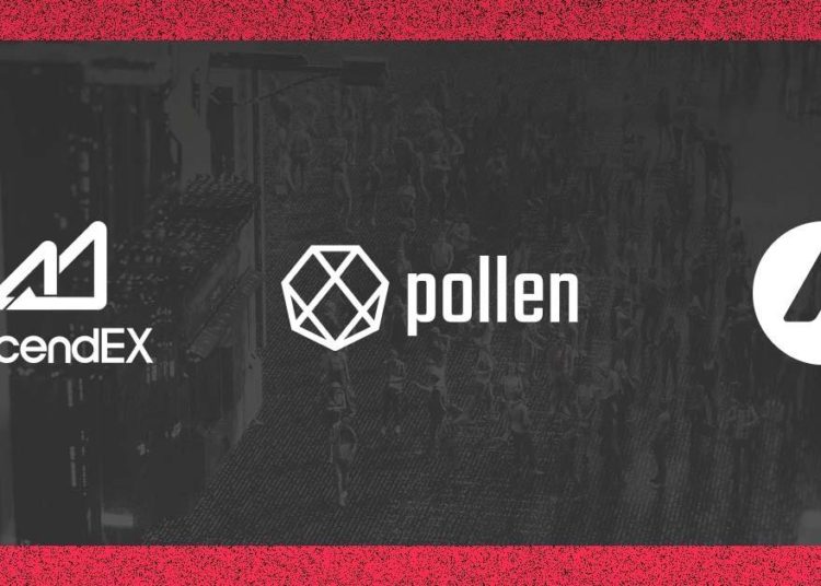 Pollen DeFi $PLN will be the first Avalanche token to list on AscendEX