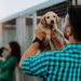 Discovery Communications Releases Puppy Bowl NFTs to Benefit Ariana Grande’s Animal Rescue Charity