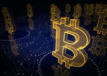Bitcoin Whales not Throwing in the Towel, Accumulating 60K BTCs in Last 2 Months