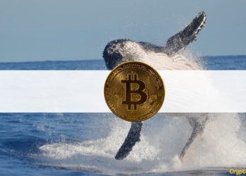 3rd Largest Bitcoin Whale Swallows Another $24M Worth of BTC During the Dip 