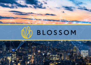 VC Firm Blossom Capital Raises $432M to Invest in the Cryptocurrency Ecosystem