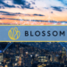VC Firm Blossom Capital Raises $432M to Invest in the Cryptocurrency Ecosystem
