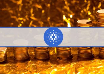 Certain Cardano Investors Doubled Their ADA Holdings During the Crash