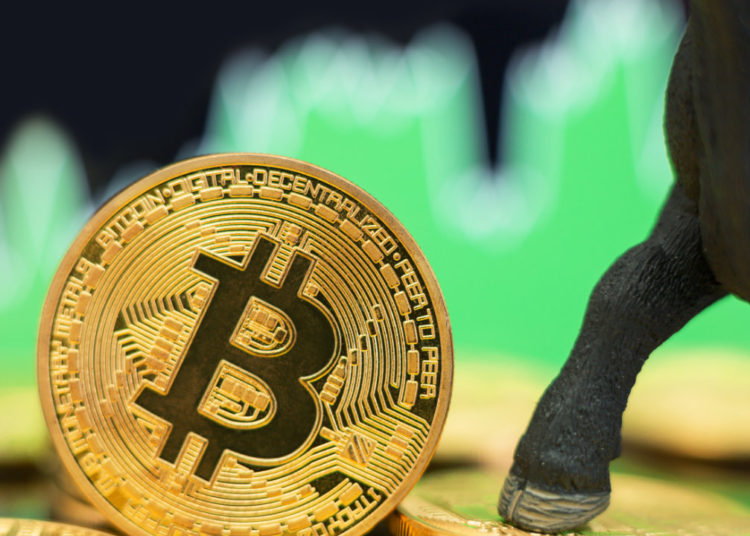 Ark Invest Expects Bitcoin to Exceed $1 Million by 2030 — Says BTC Could Transform Monetary History – Markets and Prices Bitcoin News