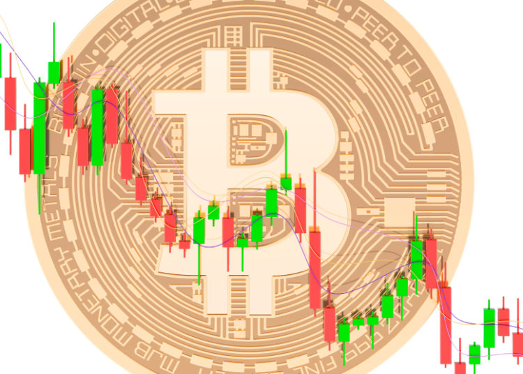 Has the crypto market reached a bottom?