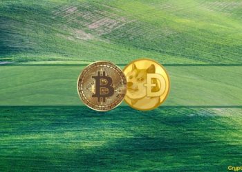 Bitcoin Tests $44K, Tesla Accepts Dogecoin, and More: This Week’s Crypto Recap