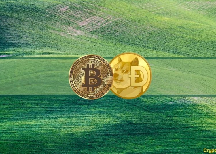 Bitcoin Tests $44K, Tesla Accepts Dogecoin, and More: This Week’s Crypto Recap
