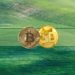Bitcoin Tests $44K, Tesla Accepts Dogecoin, and More: This Week’s Crypto Recap