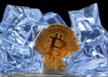 Analysts Believe Bitcoin Price Cycle Is Incomplete, Trader Says BTC’s ‘Next Move Should Be Cycle’s Top’ – Market Updates Bitcoin News