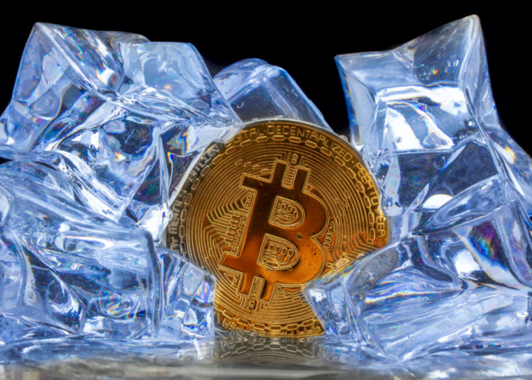 Analysts Believe Bitcoin Price Cycle Is Incomplete, Trader Says BTC’s ‘Next Move Should Be Cycle’s Top’ – Market Updates Bitcoin News