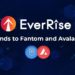 EverRise Expands DeFi Security Infrastructure to Fantom and Avalanche – Press release Bitcoin News