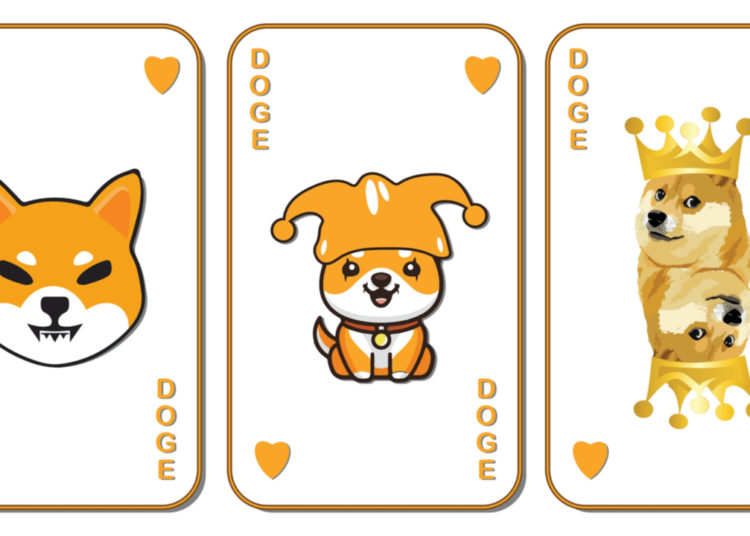 Top Meme Coins by Market Capitalization Shed Billions, DOGE Down 80% Since All-Time High – Market Updates Bitcoin News