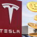 Tesla’s Latest Financial Statement Shows Bitcoin Worth $1.26 Billion – Finance Bitcoin News