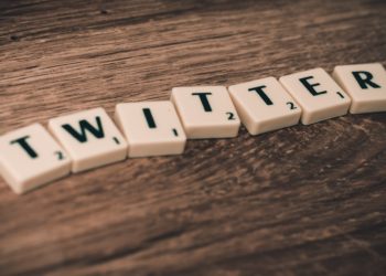 Elon Musk slams Twitter NFTs as BS, says there are more pressing issues