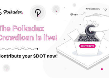 Polkadex Seeks Community Backing To Nab Coveted Polkadot Parachain Slot