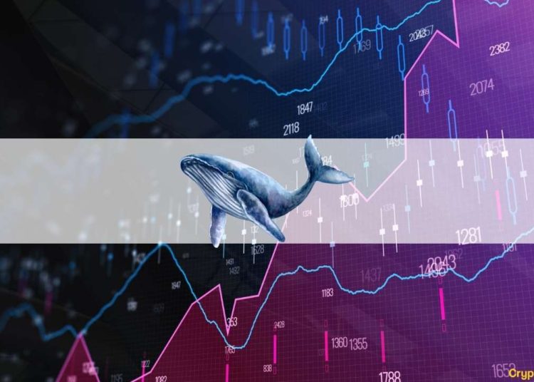 Adds $18M of BTC Amid Crash