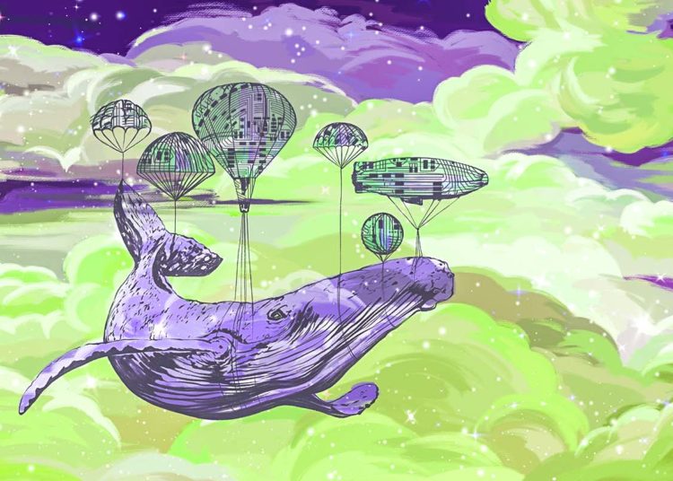 Whales Are Accumulating 10 Altcoins on Ethereum Competitor Avalanche, According to On-Chain Data