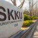 South Korean University to Present NFT Certificates for Graduates
