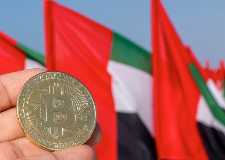 UAE to Strive for Virtual Service Provider Licenses before Q2