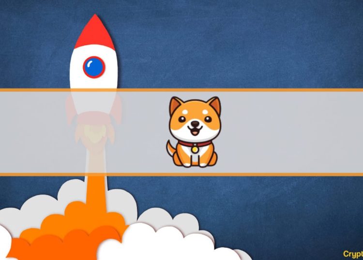 Baby Doge Skyrocketed 35% Following a Huobi Listing