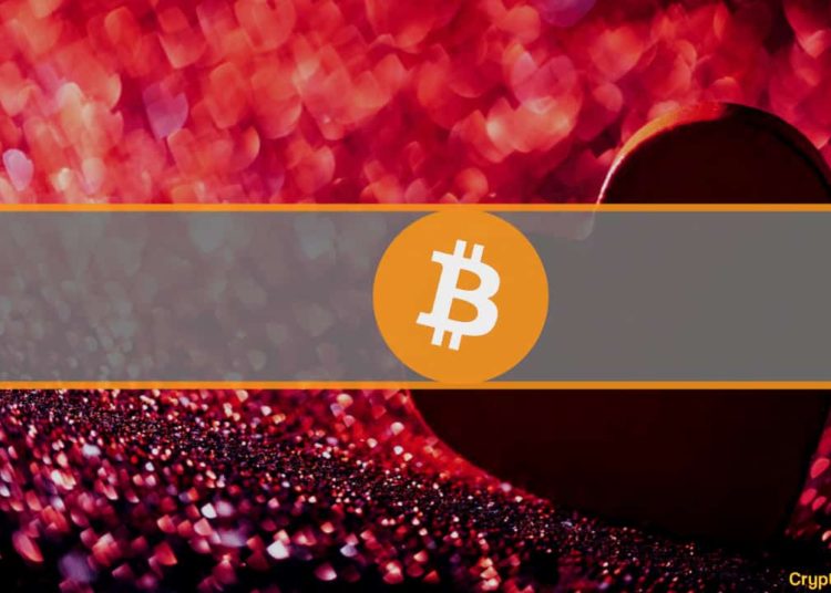 Cryptocurrency Investors Are More Attractive on The Dating Scene (Study)