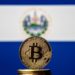 El Salvador to Reform Laws to Favor Citizenship through Investment