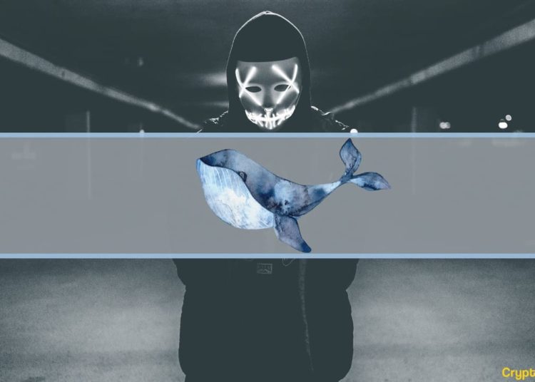 Criminal Whales Hold More Than $25 Billion Worth of Crypto (Chainalysis Report)