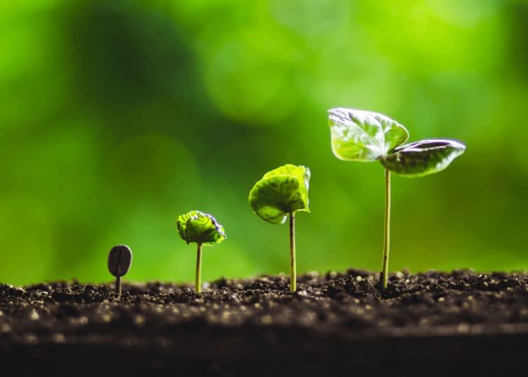Crypto Merger Deals Skyrocketed 5,000% in 2021