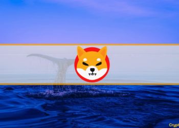 Top 100 SHIB Holders Control Over 25% of the Total Shiba Inu Supply