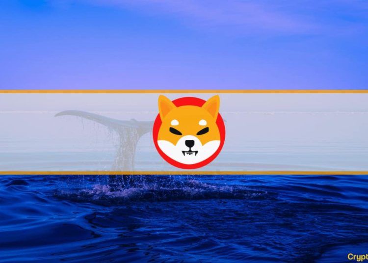 Top 100 SHIB Holders Control Over 25% of the Total Shiba Inu Supply