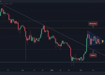 XRP Holds Steady Despite Broader Market Crash