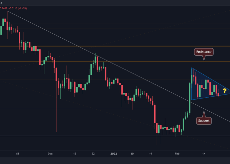 XRP Holds Steady Despite Broader Market Crash