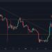 XRP Holds Steady Despite Broader Market Crash