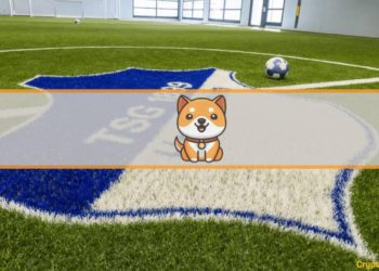 German Soccer Club TSG Hoffenheim Partners with Baby Doge