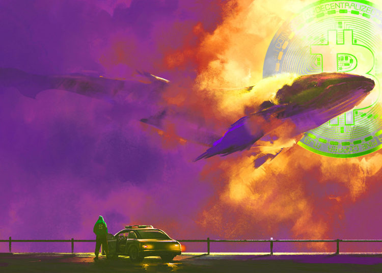 Bitcoin Whales Abruptly Come to Life, Processing Nearly 20,000 Transactions in One Day: Insights Firm Santiment