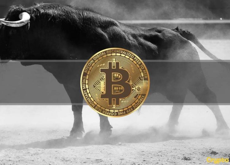 Bitcoin Explodes 18% in a Week, Total Market Cap Reclaims $2T: This Week’s Crypto Recap