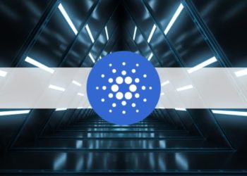 Cardano’s First Scaling Solution Based on ZK Rolloups to Support DeFi Innovation