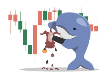 3 Valuable Insights Into The Mindset Of NFT Whales