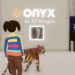 JPMorgan Opens a Lounge in the Metaverse After Stating the $1 Trillion Market ‘Will Likely Infiltrate Every Sector’ – Metaverse Bitcoin News