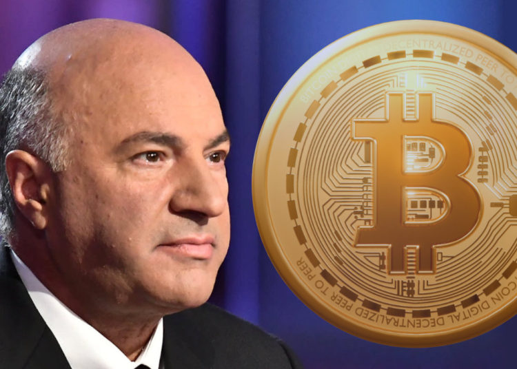 Shark Tank’s Kevin O’Leary Expects Bitcoin to ‘Appreciate Dramatically’ in 2-3 Years – Markets and Prices Bitcoin News