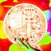 Metaverse Altcoin Decentraland (MANA) Launches World’s Biggest Virtual Fashion Show