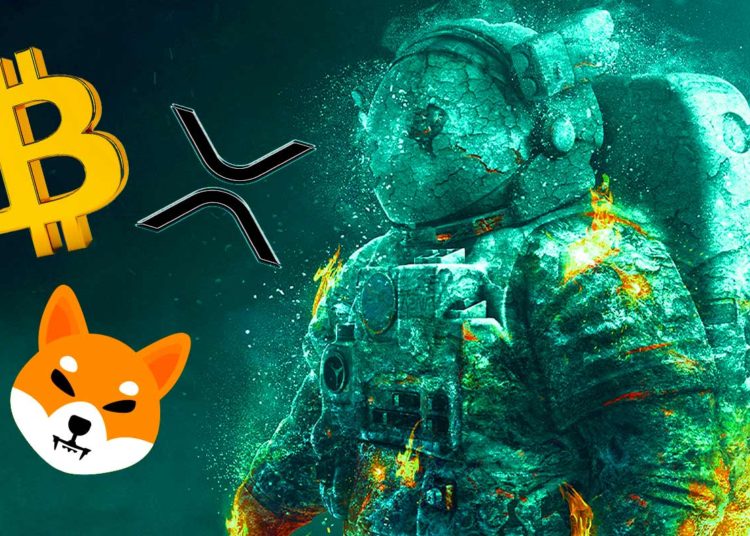 Rallies on the Horizon for Bitcoin (BTC), XRP and Shiba Inu (SHIB): Coin Bureau