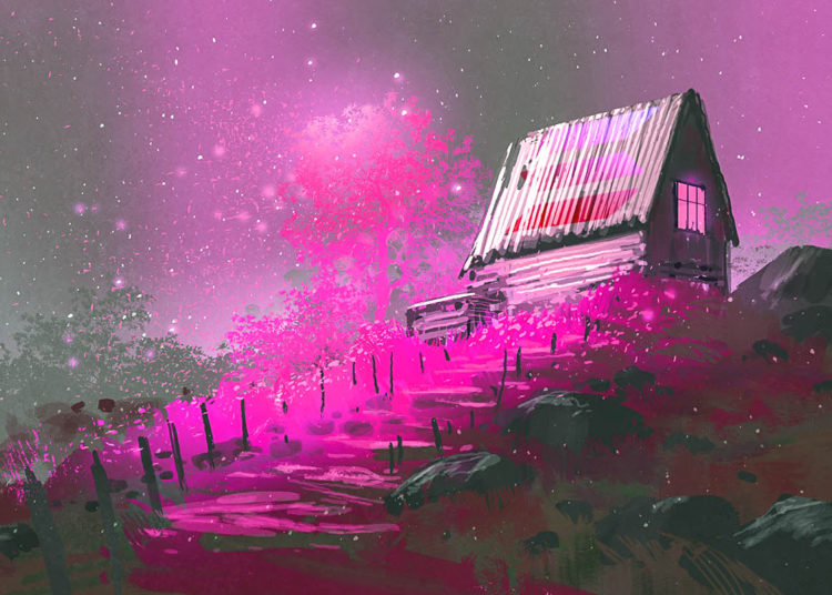 Ethereum-Challenger Solana (SOL) Launches New Peer-to-Peer Payments Feature