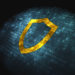 Top Apps & Tools To Keep Your Online Activity Private
