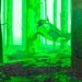 Ethereum Whales Accumulating ETH, Polygon (MATIC) and This Metaverse Altcoin Over Past Week: WhaleStats