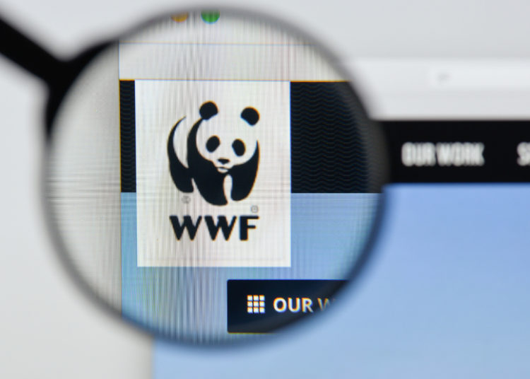 UK WWF cancels NFTs shortly after launch amid environmental backlash