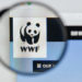 UK WWF cancels NFTs shortly after launch amid environmental backlash