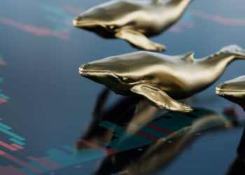 Crypto Whales Taking Wait-and-See Approach