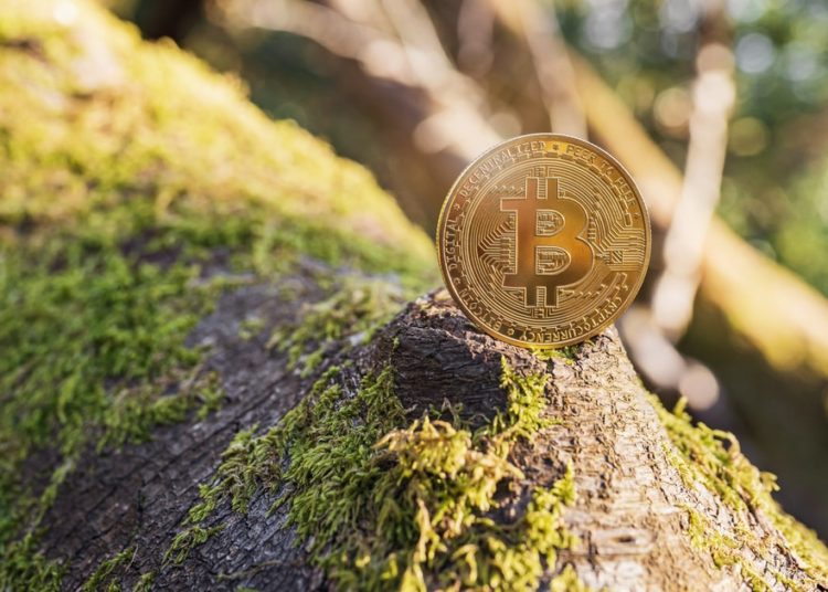 Climate Activists, Billionaire Launch Campaign to Tackle Bitcoin’s Impact on Environment